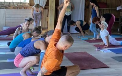 Professionnel du Yoga