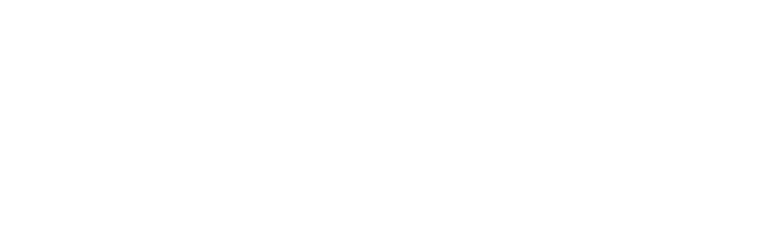 google en blanc